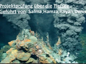 puschprojetkprüfung